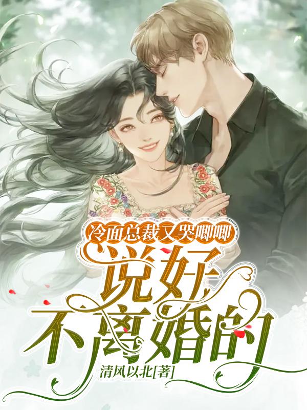 冷面总裁又哭唧唧,说好不离婚的
