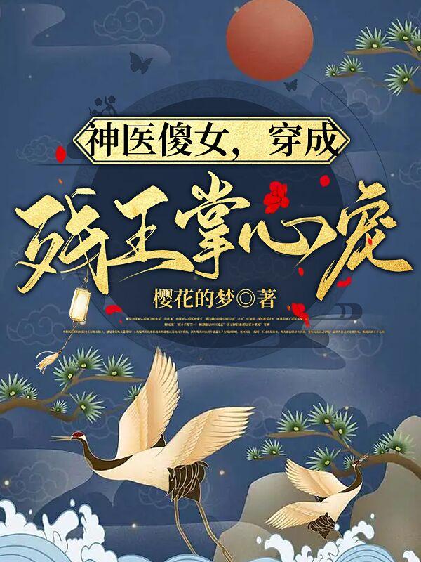神医傻女:穿成残王掌心宠