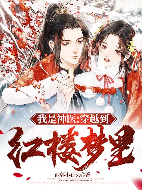 我是神医:穿越到红楼梦里