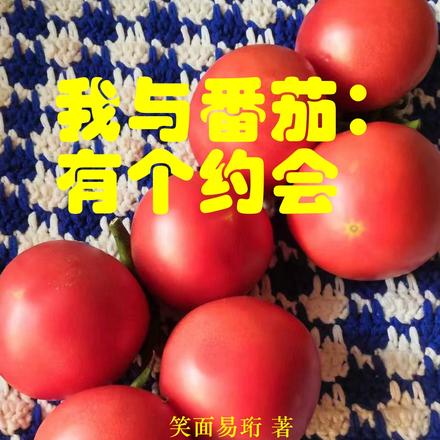 我与番茄：有个约会无错小说