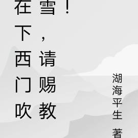 在下西门吹雪,请赐教!