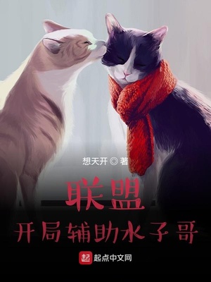 联盟:开局辅助水子哥