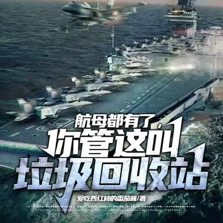 航母都有了,你管这叫垃圾回收站