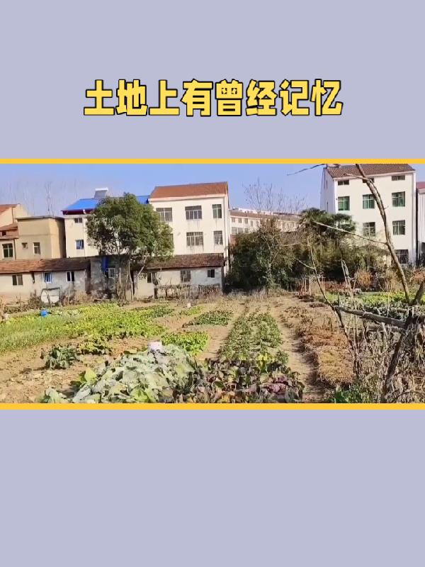 土地上会是什么意思