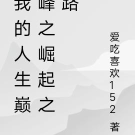 我的人生巅峰之崛起之路