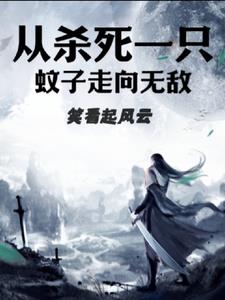 从杀死一只蚊子走向无敌By{author}