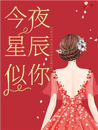 今夜星辰似你 By{author}