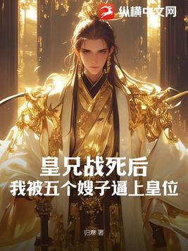 皇兄战死后，我被五个嫂子逼上皇位 By{author}