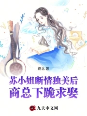 苏小姐想退婚小说