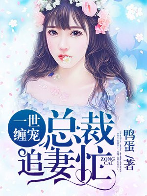 一世缠宠:总裁,追妻忙