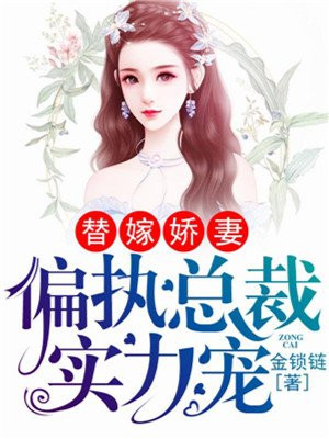 偏执总裁实力宠妻小说