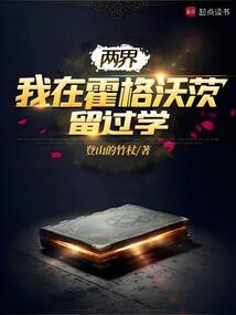 两界:我在霍格沃茨留过学