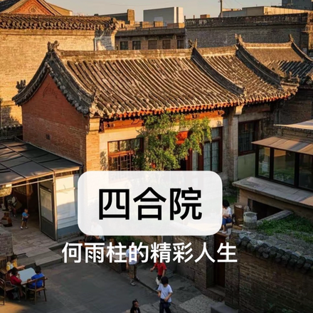 四合院：我成了傻柱但是我不傻